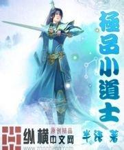 澳门精准正版免费大全14年新特工类小说